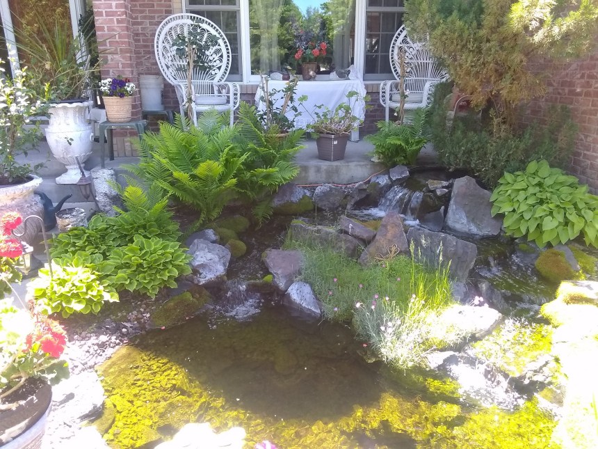 img_20190608_121411300