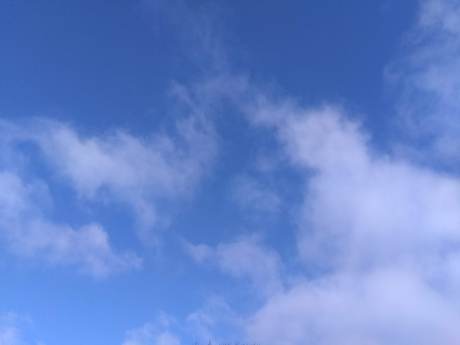 IMG_20200302_085039961